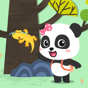 91视频入口免费版
