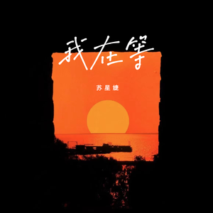 91视频入口免费版
