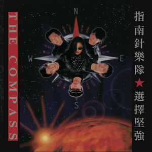 91视频入口免费版
