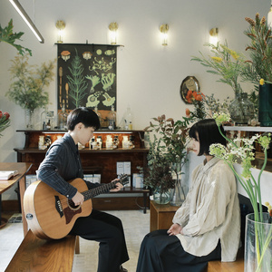 91视频入口免费版
