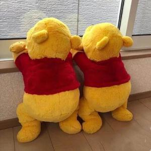 91视频入口免费版
