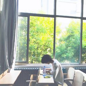 91视频入口免费版
