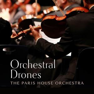 91视频入口免费版
