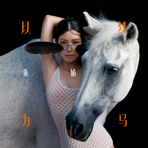 91视频入口免费版
