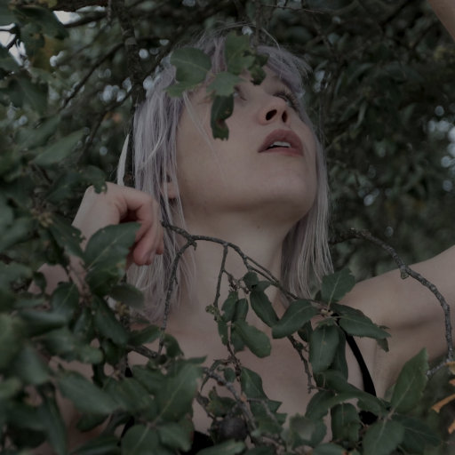 91视频入口免费版
